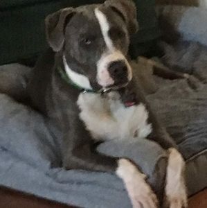 Meet your Posher, Diane